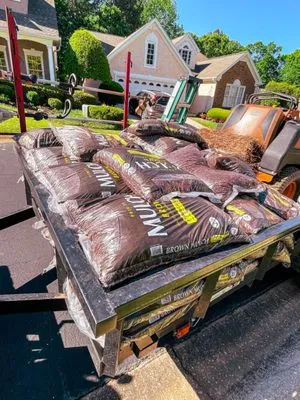 Beyond the Lawn Logo