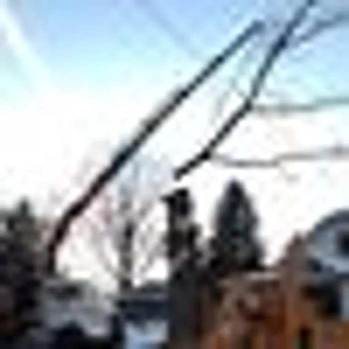 Professional lawn care service in Perkiomenville, PA by Beyond The Leaf Tree & Shrub Experts