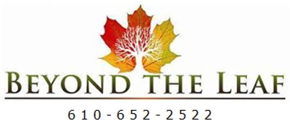 Trusted lawn mowing service for year-round maintenance across Perkiomenville, PA - Beyond The Leaf Tree & Shrub Experts