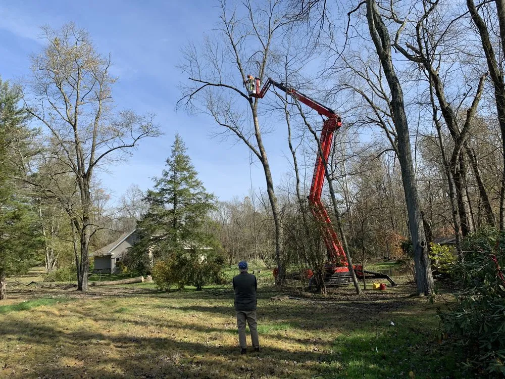 Affordable landscaping services in Perkiomenville, PA - Beyond The Leaf Tree & Shrub Experts