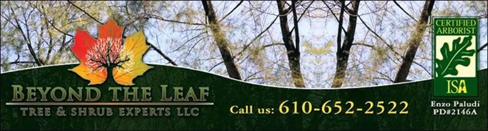 Custom residential landscaping for year-round maintenance across Perkiomenville, PA - Beyond The Leaf Tree & Shrub Experts