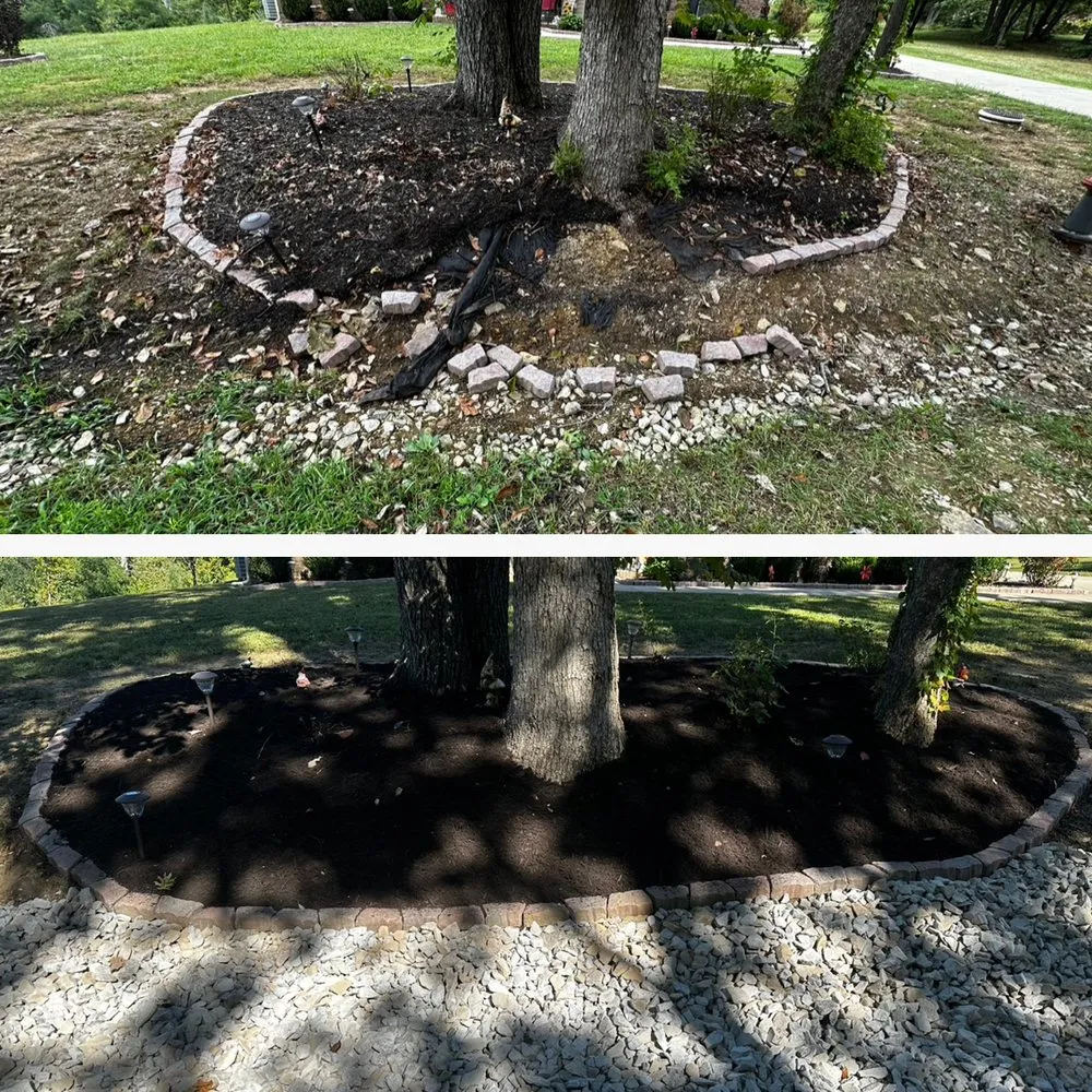 Local yard cleanup service in Lawrenceburg, KY by Beyond the Pines Lawn Maintenance