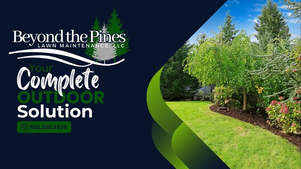 Professional landscape design for year-round maintenance across Lawrenceburg, KY - Beyond the Pines Lawn Maintenance