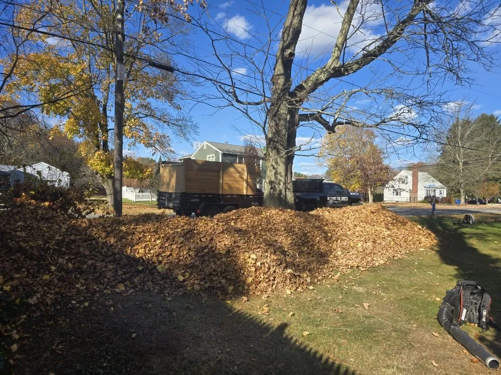 Affordable residential landscaping in Seekonk, MA by Beyond The Roots Landscape & Tree Care