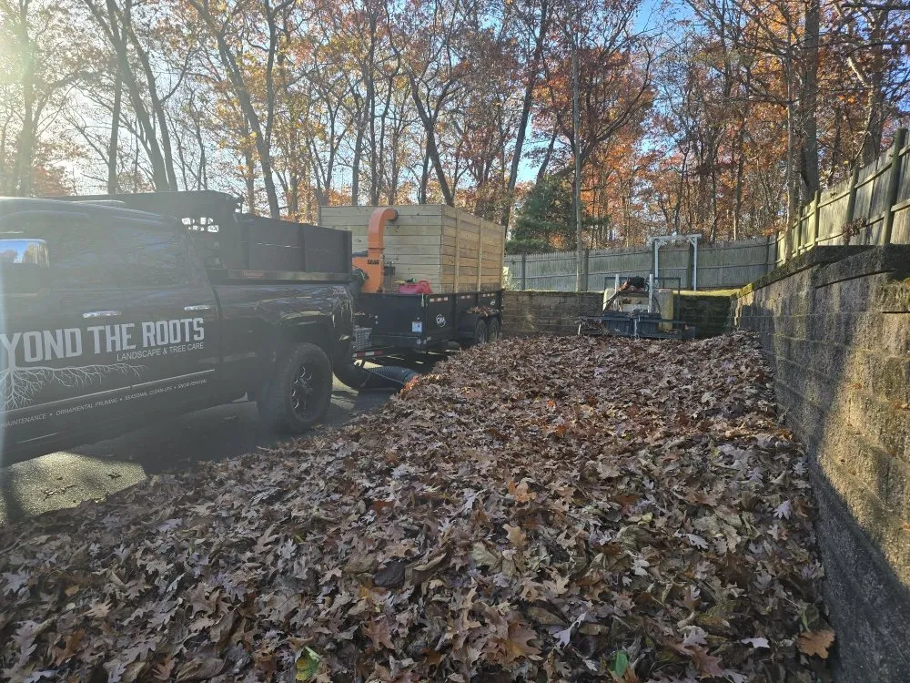 Top-rated yard cleanup service in Seekonk, MA - Beyond The Roots Landscape & Tree Care