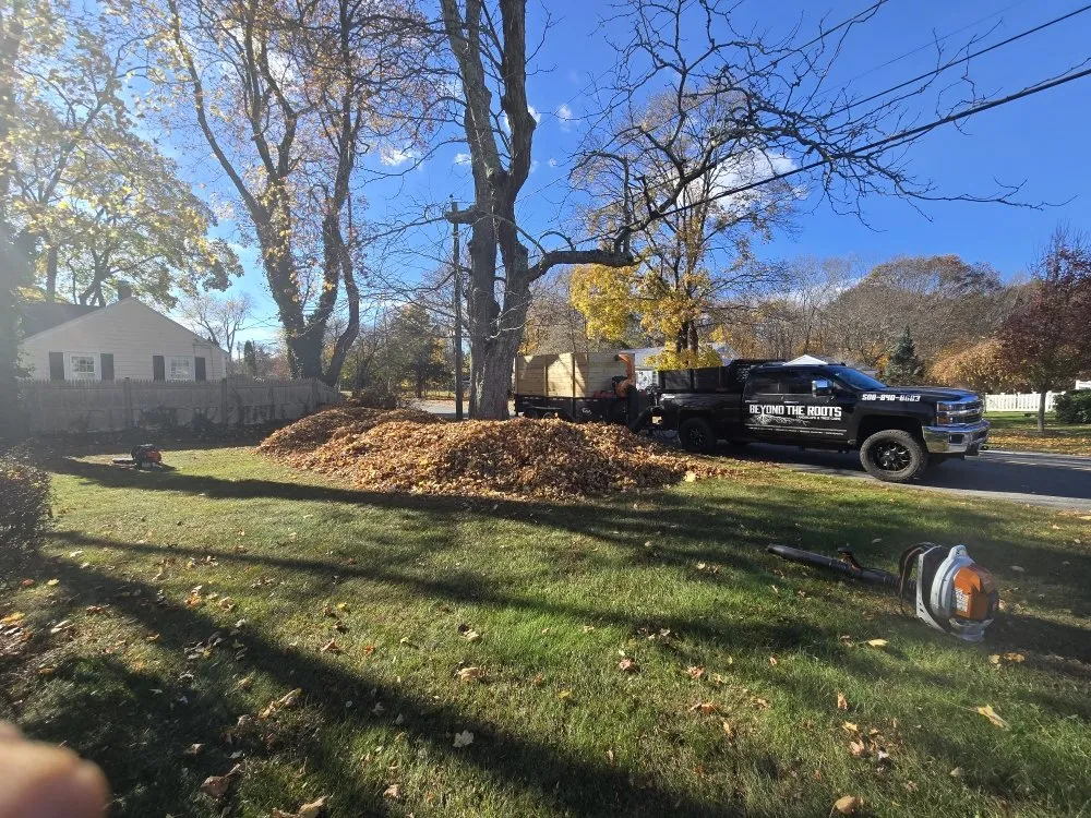 Affordable lawn care service in Seekonk, MA - Beyond The Roots Landscape & Tree Care