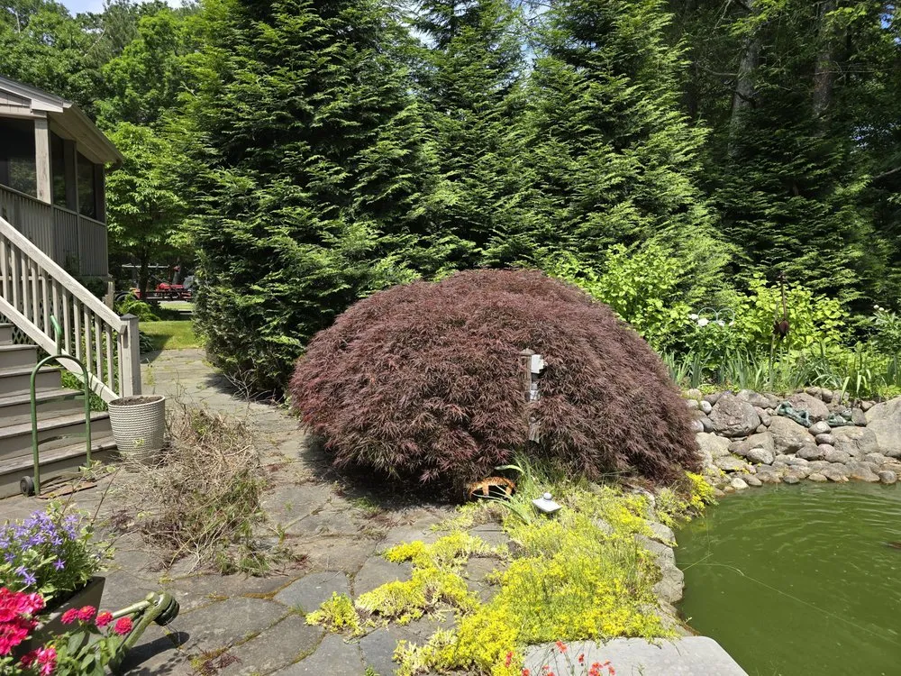 Top-rated garden landscaping with custom design in Seekonk, MA by Beyond The Roots Landscape & Tree Care