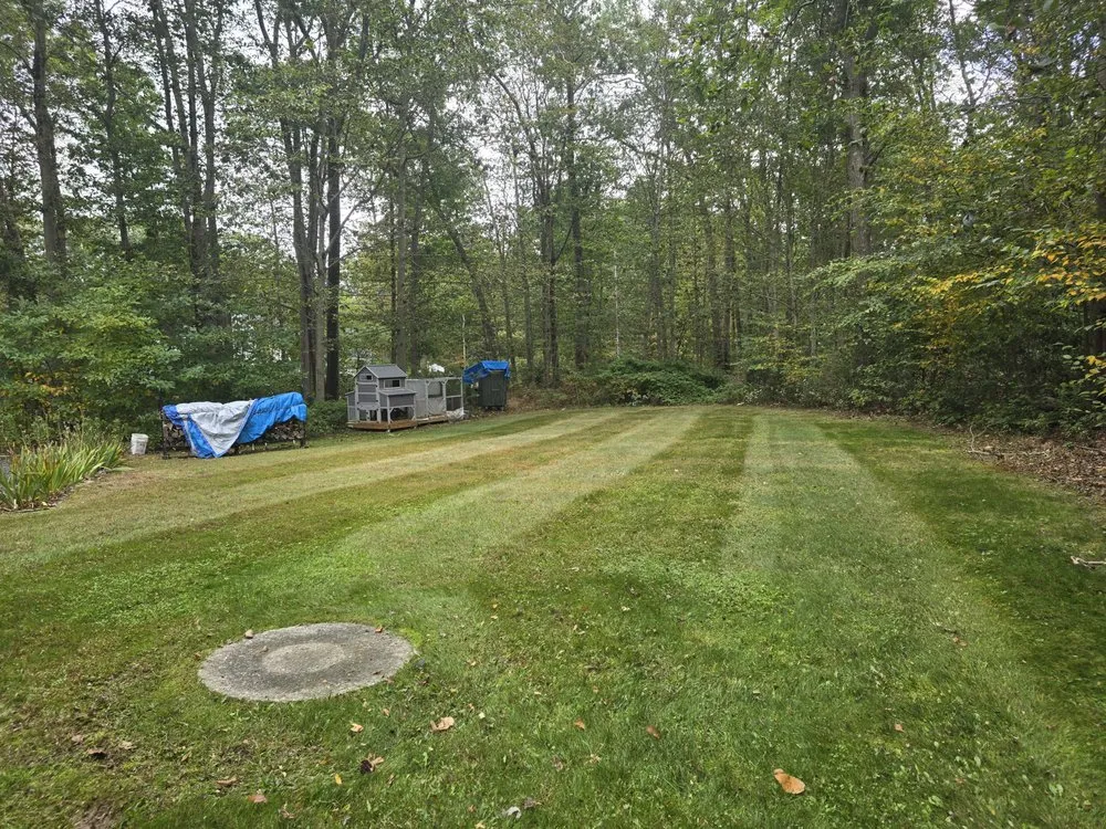 Reliable landscape design for homes in Seekonk, MA by Beyond The Roots Landscape & Tree Care