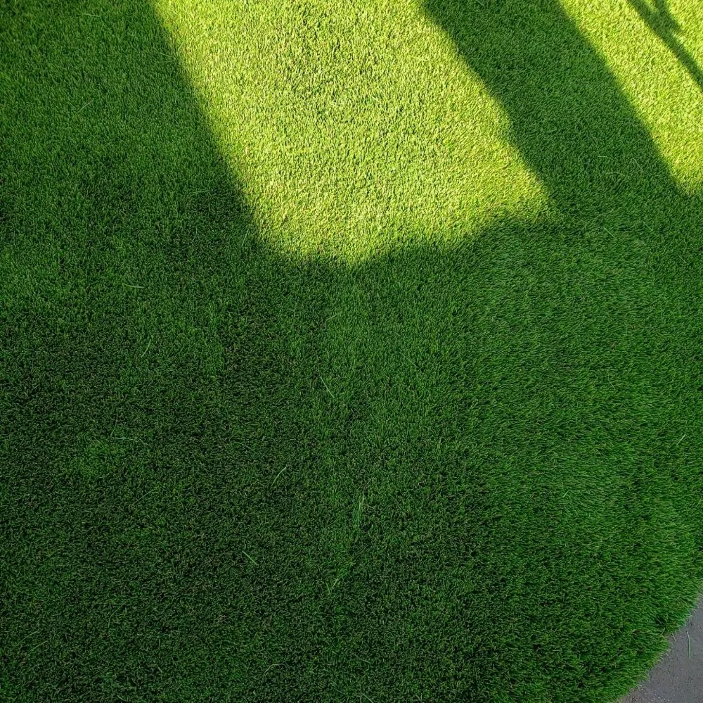 Professional yard cleanup service for outdoor upgrades across Simi Valley, CA - Beyondscapes