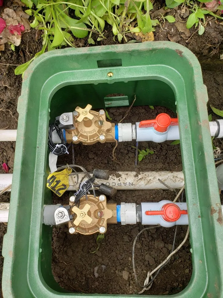 Affordable landscape design in Simi Valley, CA - Beyondscapes