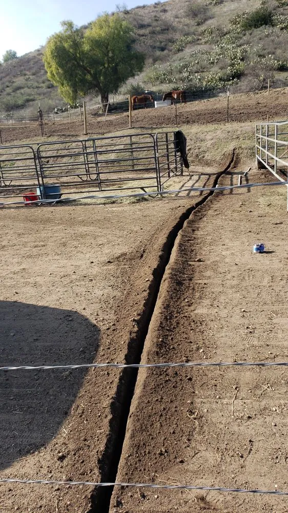 Affordable lawn care service in Simi Valley, CA - Beyondscapes