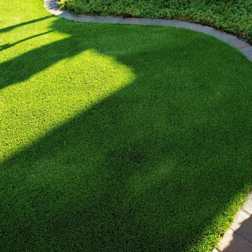 Affordable garden landscaping in Simi Valley, CA - Beyondscapes