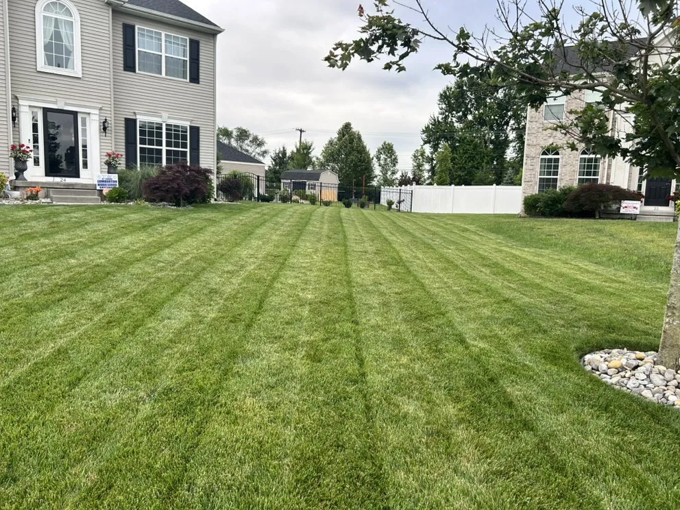 Affordable landscaping services near you in Lumberton Township, NJ by Bfes Outdoor Solutions