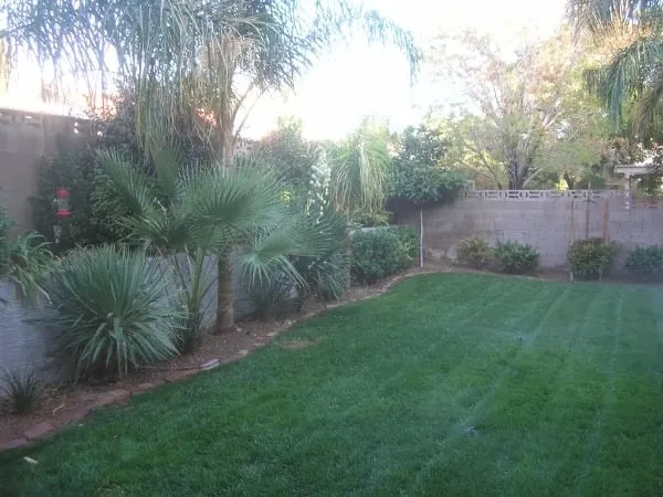 Expert yard cleanup service in Lehigh Acres, FL by BFGU Enterprises