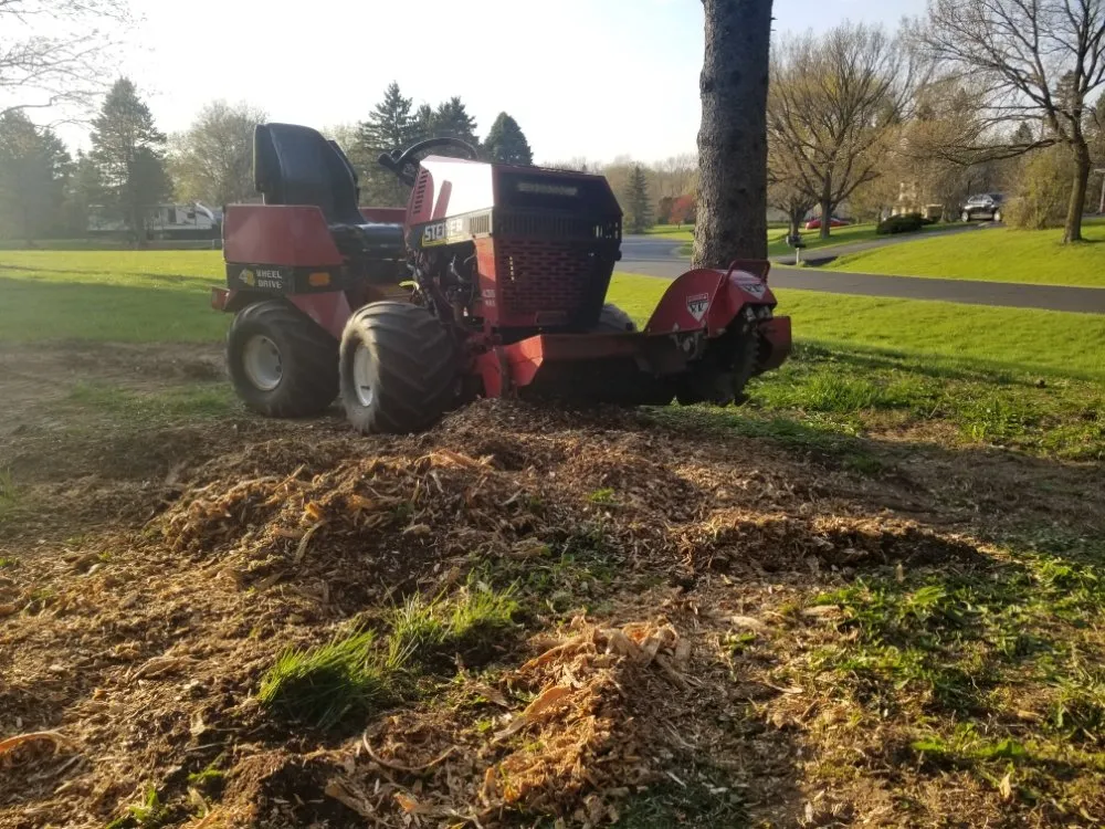Trusted landscape design in Dousman, WI by BFH Services