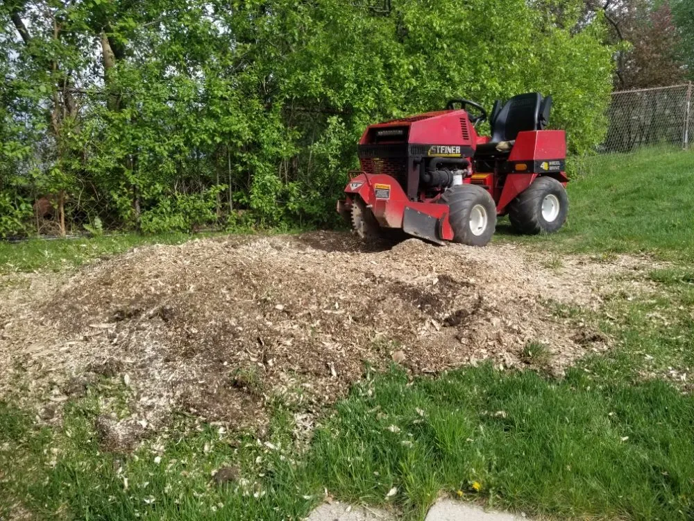 Top-rated landscape design experts serving Dousman, WI - BFH Services