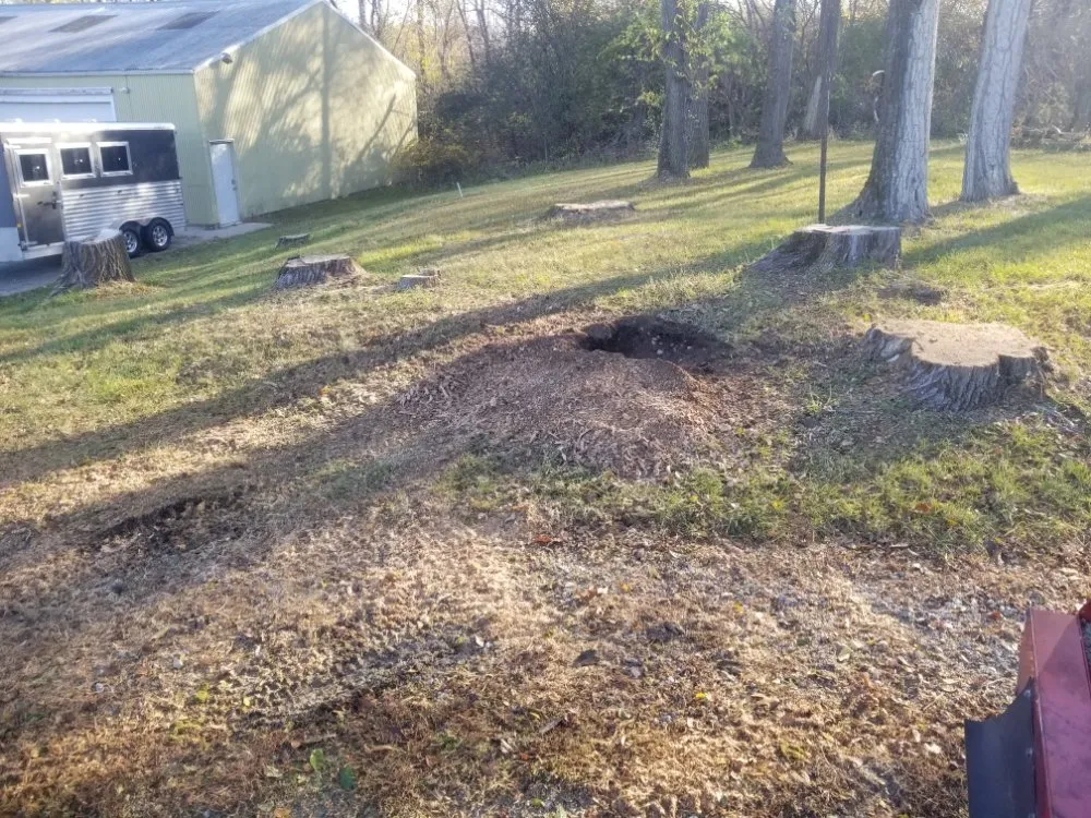 Professional lawn mowing service for homes across Dousman, WI - BFH Services