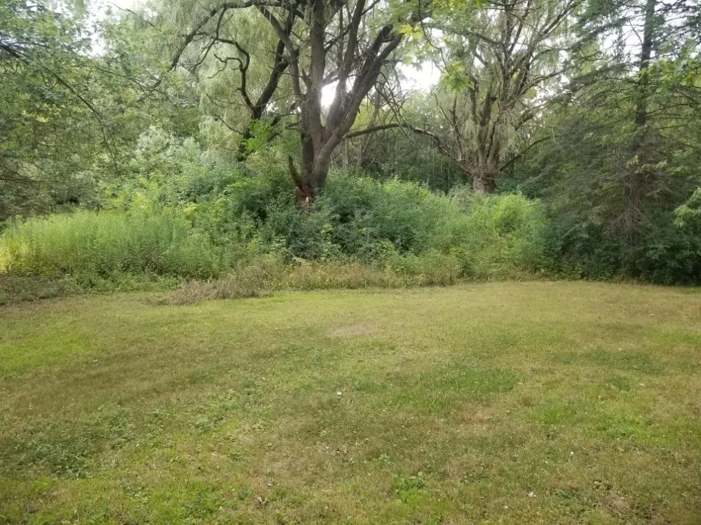 Top-rated residential landscaping in Dousman, WI - BFH Services