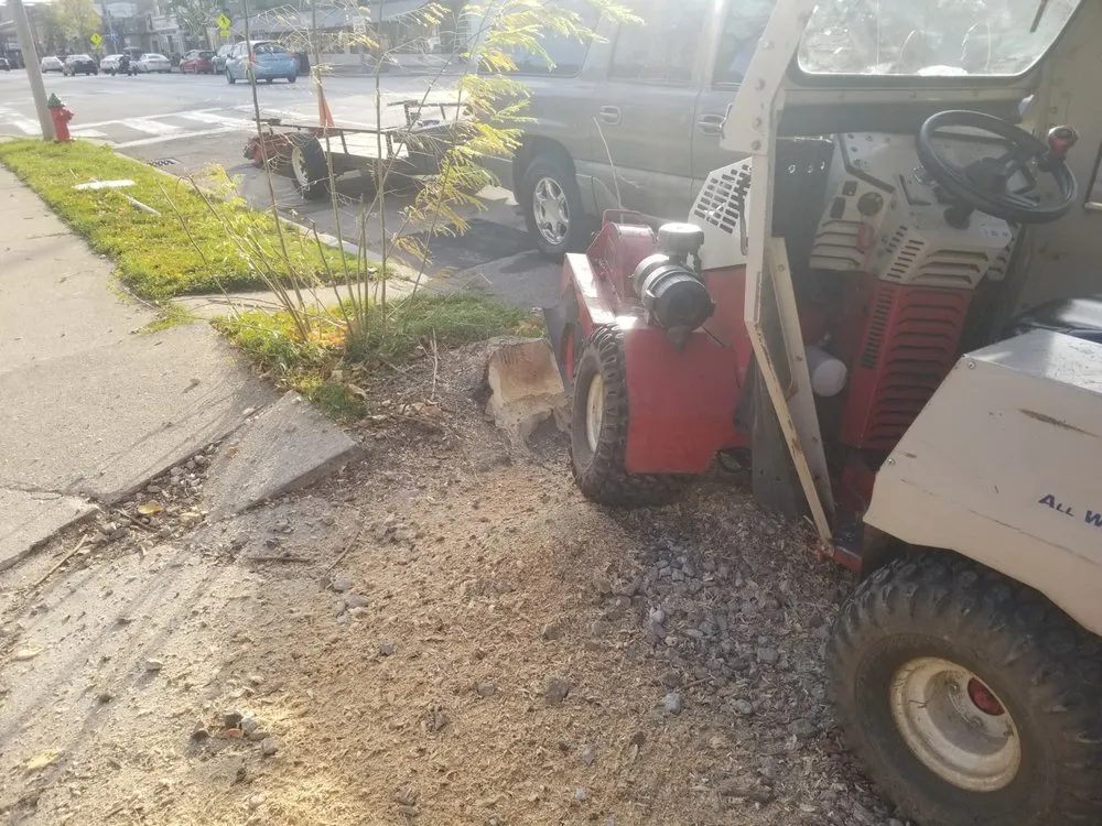 Reliable lawn care service in Dousman, WI by BFH Services