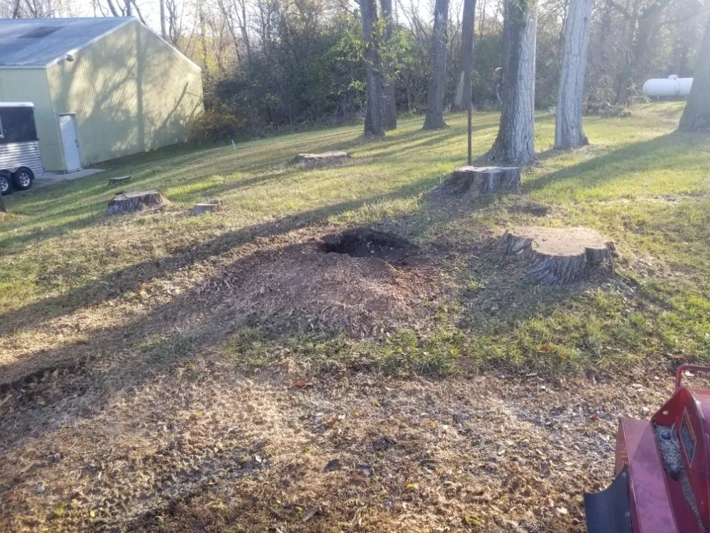 Expert outdoor landscaping for residential properties in Dousman, WI by BFH Services