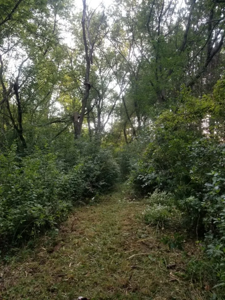 Top-rated lawn care service in Dousman, WI - BFH Services