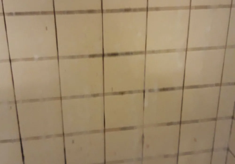 Affordable landscaping services for residential properties in Marrero, LA by B&G Cleaning and Lawn Care