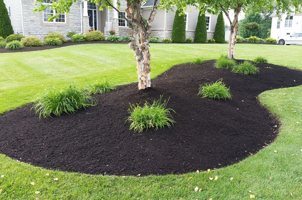 Custom residential landscaping in Massillon, OH by B&G Cleaning