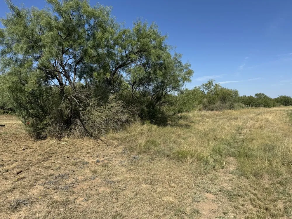 Affordable landscape design experts serving San Angelo, TX - BG Fence and Lawn