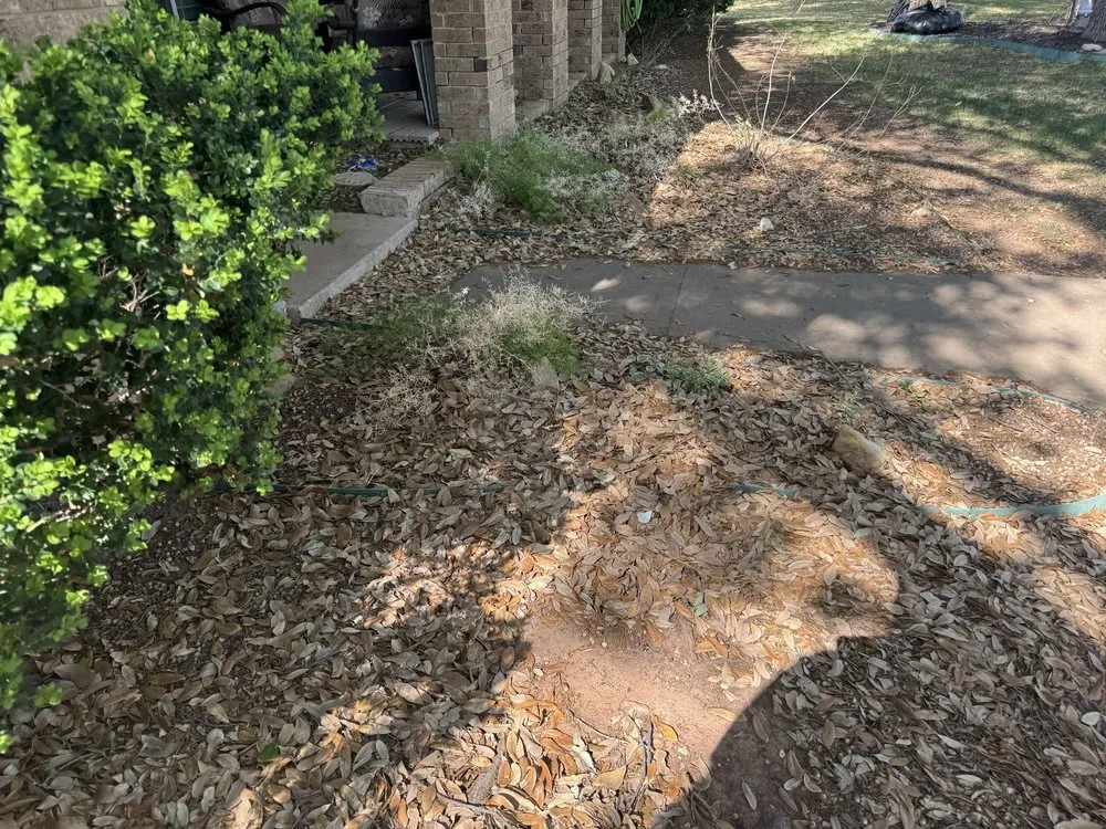 Expert outdoor landscaping for year-round maintenance in San Angelo, TX by BG Fence and Lawn