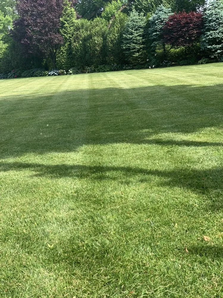 Reliable landscape installation experts serving Hempstead, NY - B&G FullService