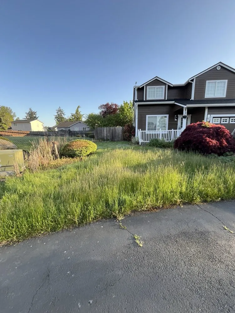 Local yard cleanup service in Bremerton, WA - Bg Green Services LLC