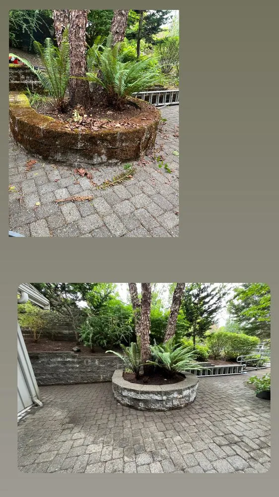 Reliable landscaping services experts serving Bremerton, WA - Bg Green Services LLC