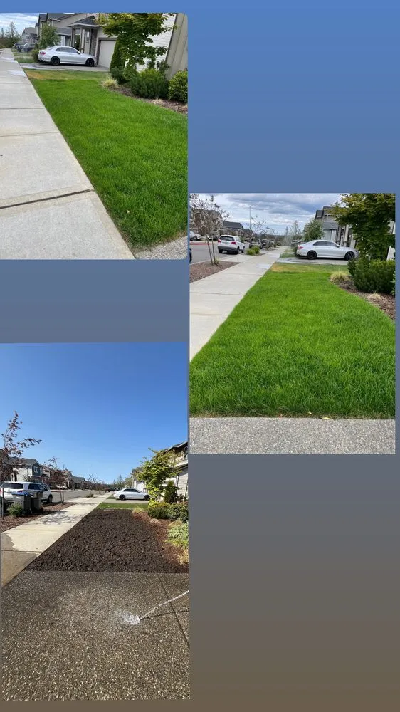 Top-rated lawn mowing service in Bremerton, WA by Bg Green Services LLC