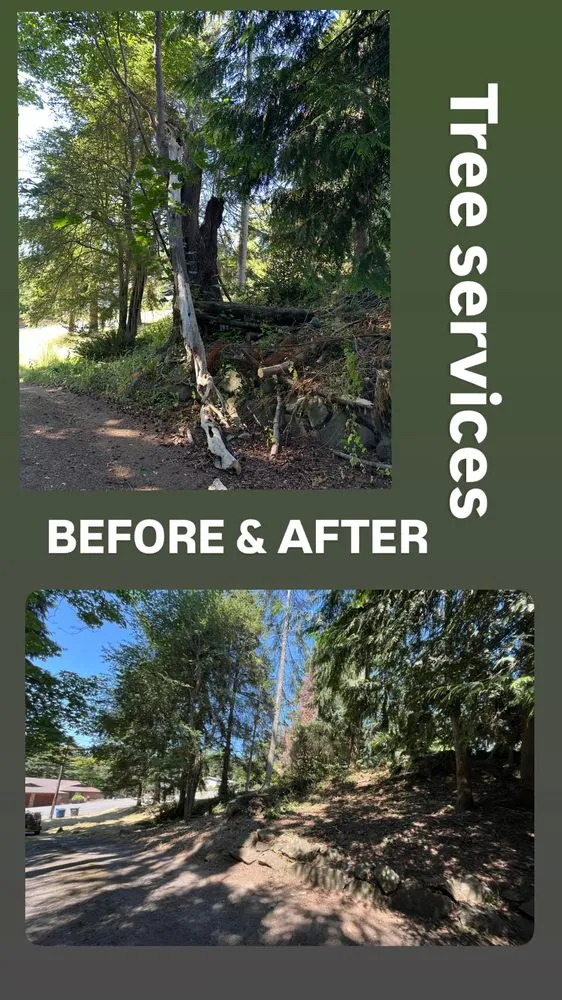Local residential landscaping for residential properties across Bremerton, WA - Bg Green Services LLC