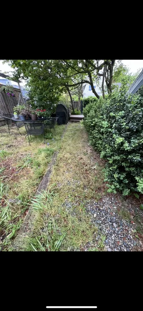 Affordable residential landscaping in Bremerton, WA - Bg Green Services LLC