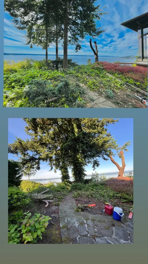 Local yard cleanup service in Bremerton, WA by Bg Green Services LLC