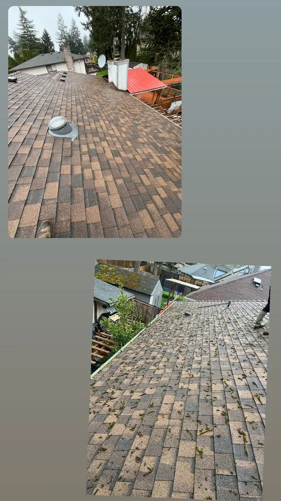 Top-rated landscape installation in Bremerton, WA - Bg Green Services LLC