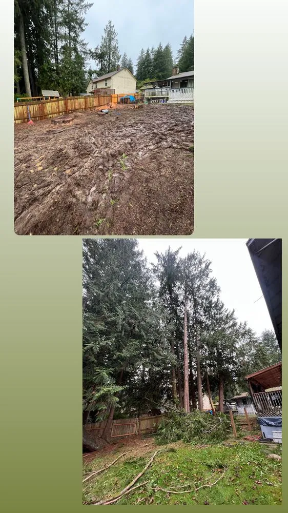 Local yard cleanup service with custom design across Bremerton, WA - Bg Green Services LLC