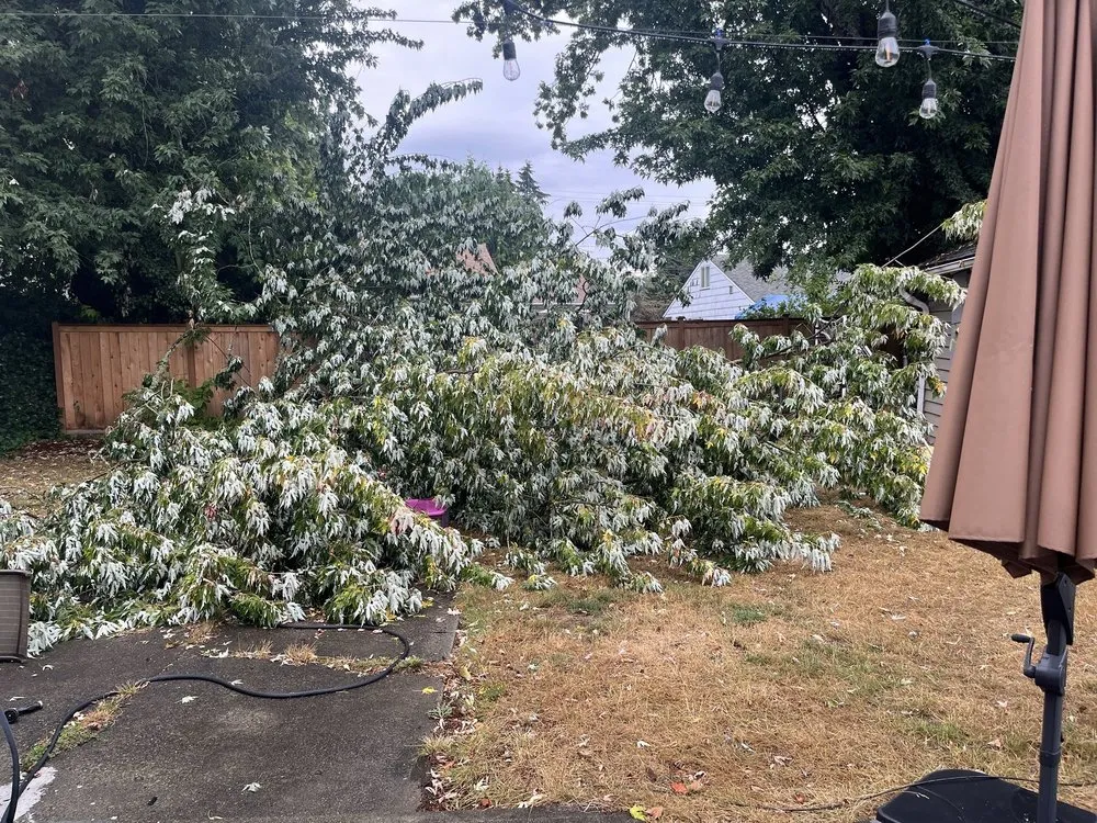 Custom landscape design experts serving Bremerton, WA - Bg Green Services LLC