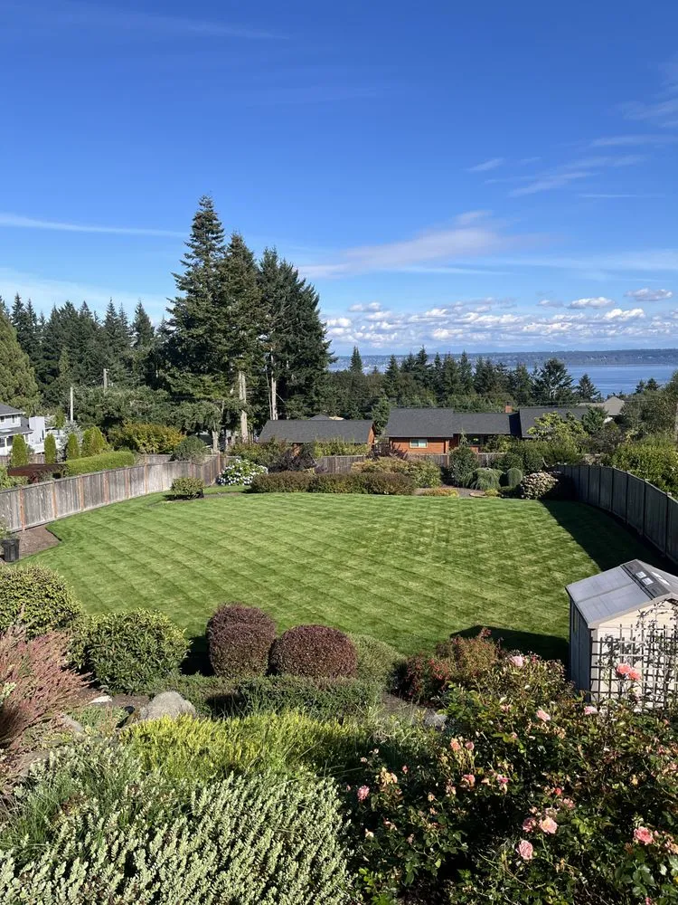 Affordable landscape installation for year-round maintenance in Bremerton, WA by Bg Green Services LLC