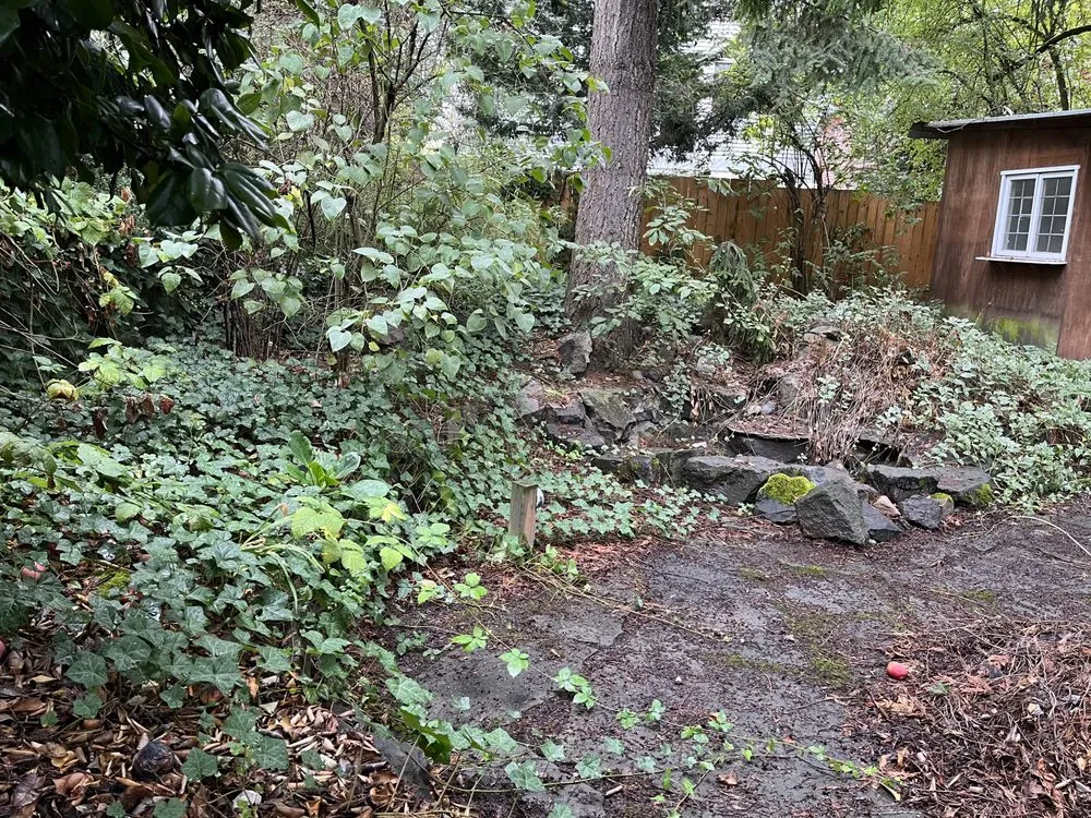 Top-rated lawn care service for outdoor upgrades in Bremerton, WA by Bg Green Services LLC