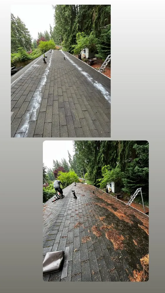 Reliable landscaping services with custom design across Bremerton, WA - Bg Green Services LLC