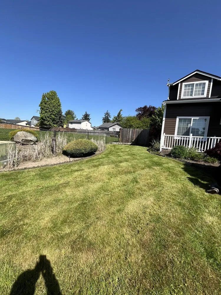 Top-rated landscape design near you in Bremerton, WA by Bg Green Services LLC