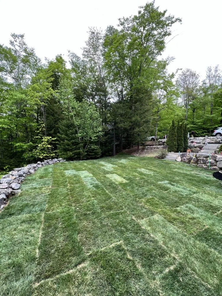 Local residential landscaping experts serving Berlin, NH - BG Land Care