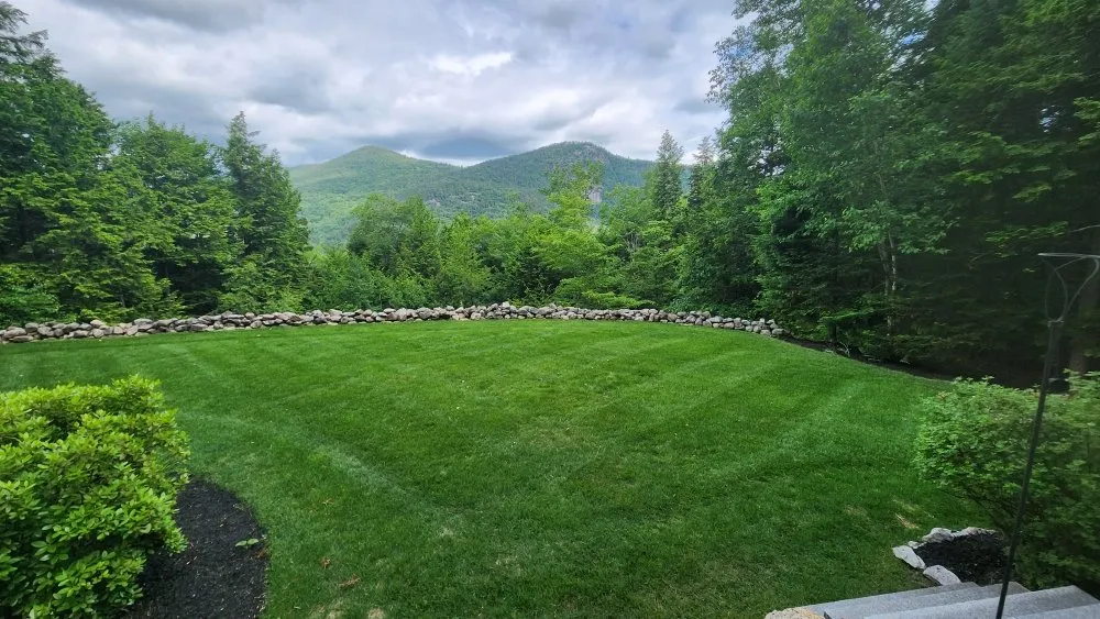 Expert yard cleanup service experts serving Berlin, NH - BG Land Care