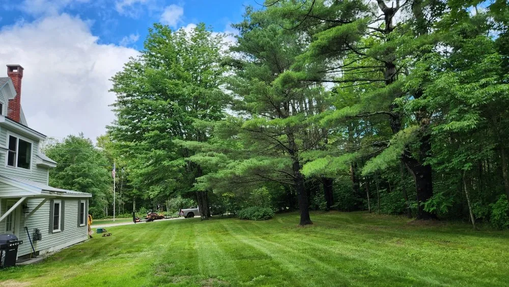 Top-rated yard maintenance in Berlin, NH by BG Land Care