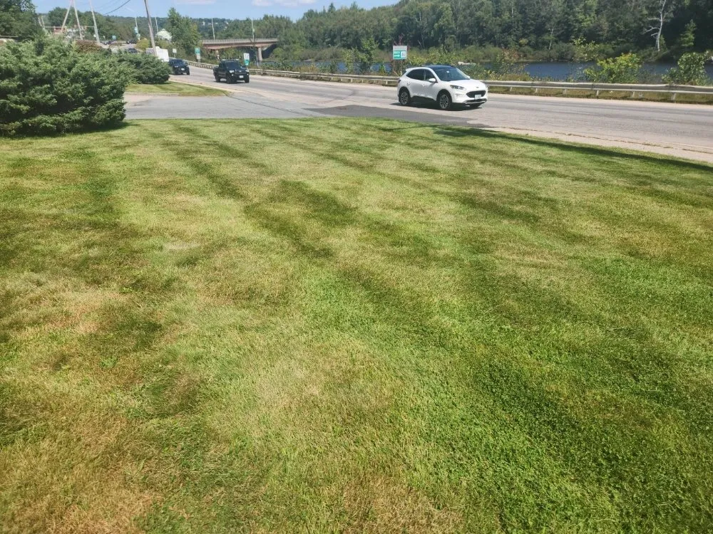 Local landscaping services for year-round maintenance in Berlin, NH by BG Land Care