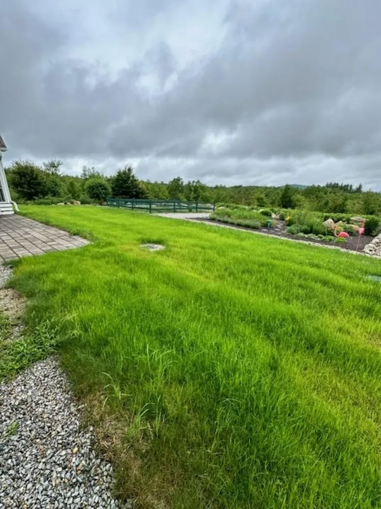 Trusted lawn mowing service in Berlin, NH by BG Land Care