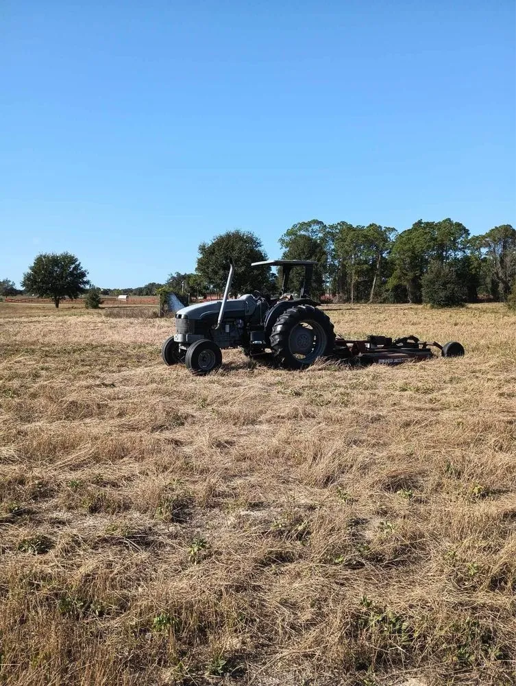 Expert lawn care service for residential properties in Groveland, FL by BG Land Care