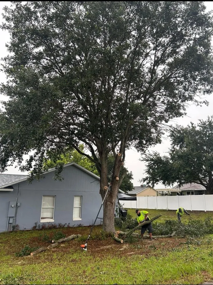 Local lawn mowing service in Groveland, FL - BG Land Care